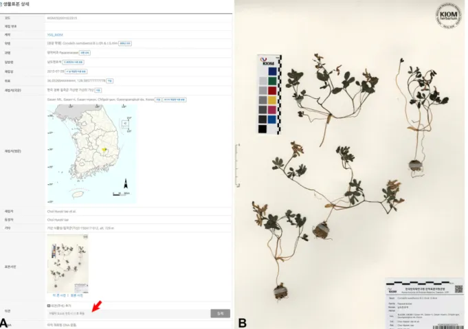 Fig. 4. KIOM databases with metadata, map, and herbarium specimen image (A), and a scanned specimen image of Corydalis namdoensis (B)
