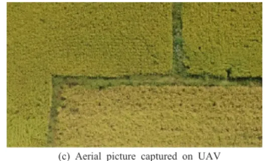 Fig. 9.  Comparing other satellite pictures with captured  aerial picture
