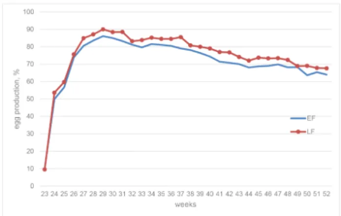 Fig.  2.  Egg  production  curve  of  early-feathering  (EF)  and  late- late-feathering  (LF)  Korean  native  chickens.