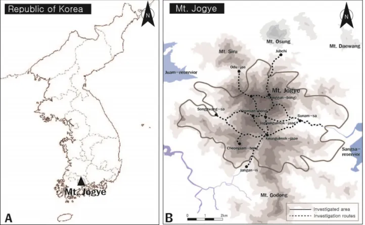 Fig. 1. Map of investigated area (A) and route (B).