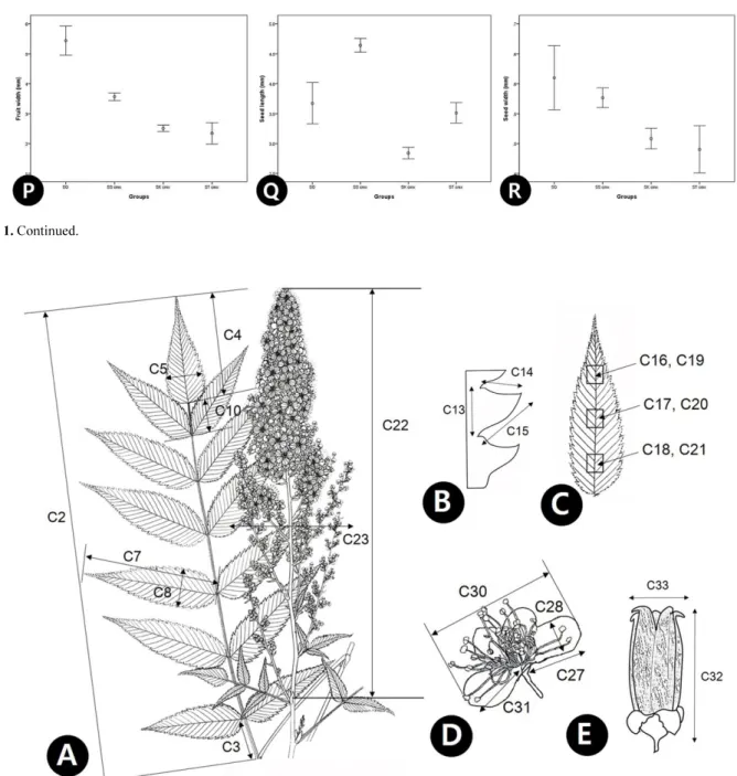 Fig. 2. Schematic representation of plants of the Sorbaria sorbifolia complex and related species with an indication of the measurement of the characters