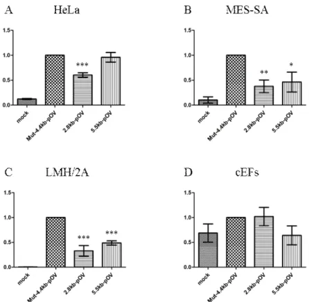 Fig.  2.  The  relative  activity  of  2.8,  5.5,  and  Mut-4.4kb  ovalbumin  promoters  in  several  cells