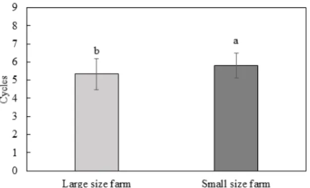 Fig.  2.  Cycles  of  marketing  according  to  the  size  of  broiler  farm. 