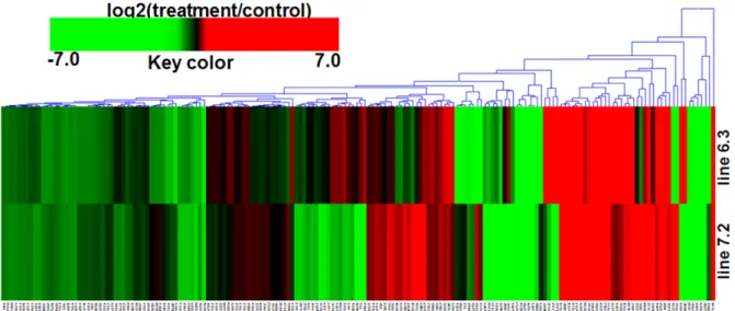 Fig.  1.  Hierarchical  clustering  of  178  genes  differentially  expressed  in  NE-afflicted  two  lines  compared  with  respective  control  and  involved  in  the  MAPK  signaling  pathway