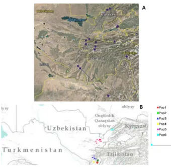 Table 1. Collected samples of Prangos fedtschenkoi populations in Uzbekistan.