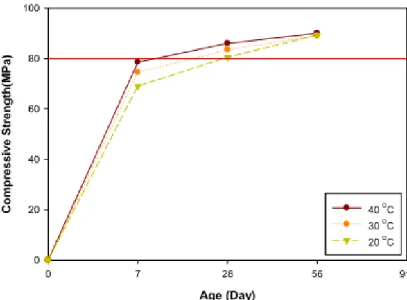 Fig. 12. Compressive strength according to age