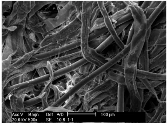 Fig. 3. SEM　photo of the new product 2.2 실험장치 및 방법 실험장치의  개략도가  Fig. 4에  나타나  있다.  실험장치 는  크게  흡입식  풍동,  물  공급  회로,  자료획득장치  등으 로  구성되고  항온항습  챔버  내에  설치된다