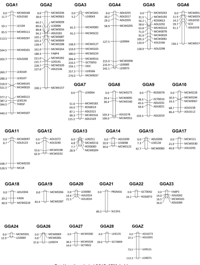 Fig.  1.  Genetic  linkage  map  using  five  lines  of  Korean  native  chicken  with  131  microsatellite  and  8  SNP  markers