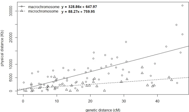 Fig.  2.  Correlation  analysis  between  genetic  and  physical  distances  on  macrochromosomes  ( ○)  and  microchromosomes  (△)