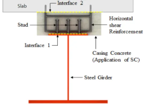 Fig. 1. Illustration of SC Double Composite Girder 