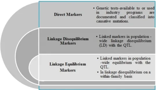 Fig.  2.  Classification  of  markers  on  the  basis  of  relationship  between  the  markers  and  the  genes  of  interest.