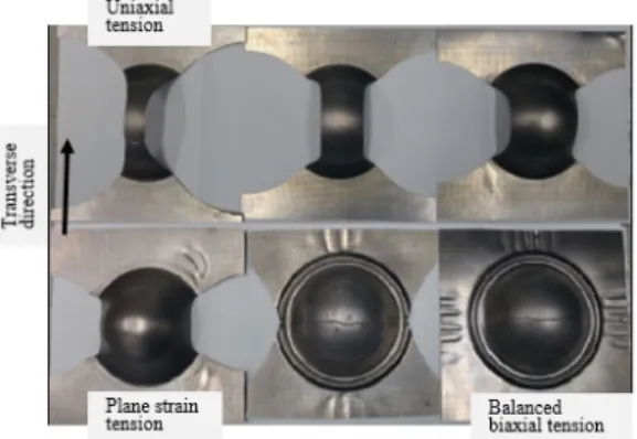 Fig. 5.  Deformed specimens of titanium sheet in punch  stretching test to evaluate the formability 