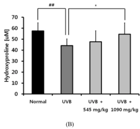 Fig.  5.  Effect of TFCP intake on skin thickness in  UVB-irradiated hairless mice. (A) H&amp;E staining  (B) epidermis thickness