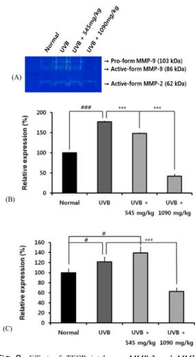 Fig 8.   Effect of TFCP intake on MMP-2 and MMP-9  expression in UVB-irradiated hairless mice
