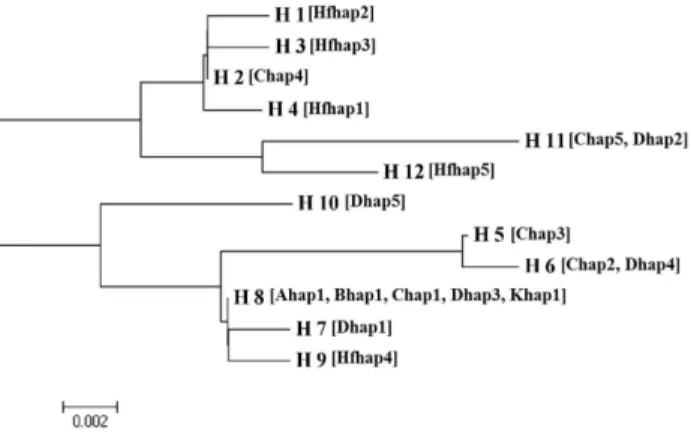 Fig.  2.  The  constructed  neighbor-joining  phylogenetic  tree  using  the  Kimura  2-parameter  model  between  Woorimatdag  and  Hanhyup  chicken  populations.
