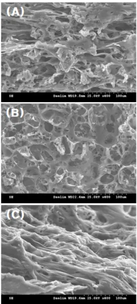 Fig. 3. SEM images of the PCL scaffold surface  by NaCl size(×100). (A)100㎛≤NaCl<300