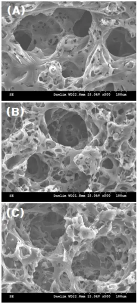 Fig. 4. SEM images of the PCL scaffold surface  by NaCl content ratio(×500). (A)10wt%,  (B)30wt%,  (C)50wt%
