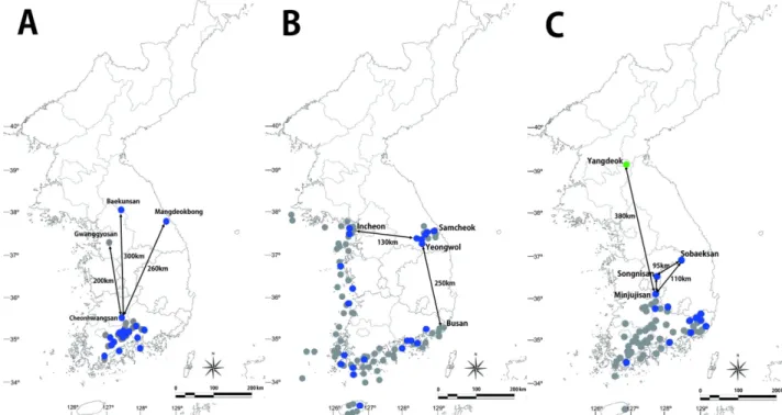 Fig. 1. Distribution maps of Hypsithermal relicts in Korea. A. Corylopsis coreana Uyeki; B