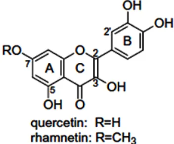 Fig.  1.  Structure  and  nomenclature  of  quercetin  and  7-methoxy  quercetin  (Lee  et  al.,  2011)
