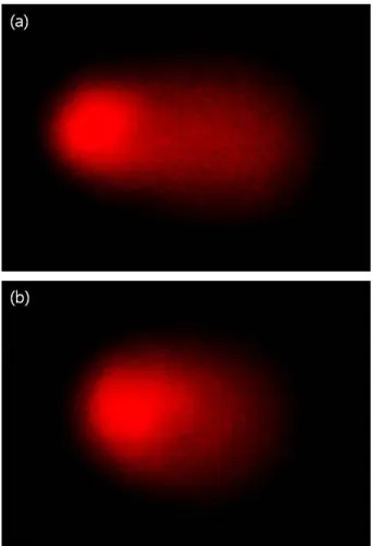 Fig.  3.  The  representative  comet  assay  images  of  chicken  lym- lym-phocytes.  The  %  DNA  in  the  tail,  represented  as  DNA  fragmentation,  is  determined  to  be  34.1%  (a)  and  20.2% 