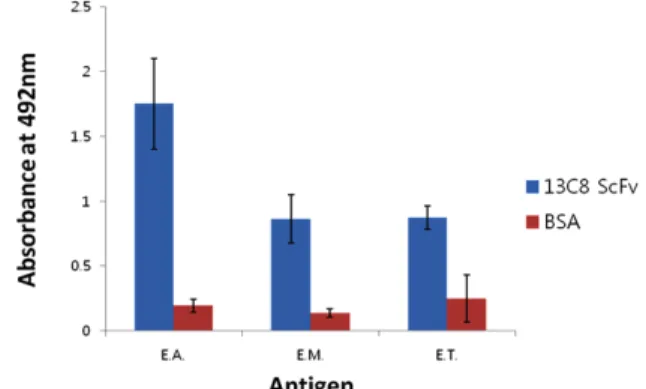 Fig.  4.  Donor  pseudogenes  used  in  variable  regions  of  λ-light  chain(VL)  and  heavy  chain(VH)