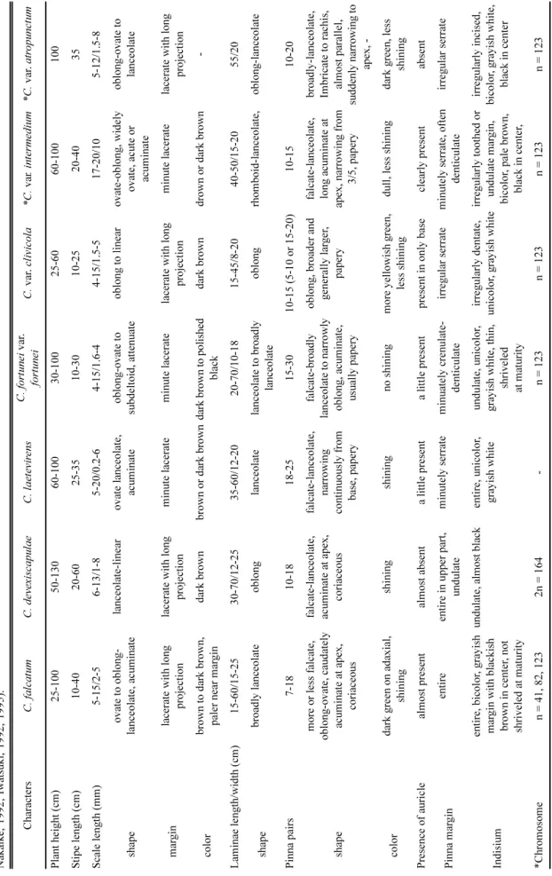 Table 1. Comparative morphological characters between C. laetevirens and related taxa distributed in Korea with two taxa in Japan of Cyrtomium (*Tagawa, 1934; Kurata and Nakaike, 1979; Nakaike, 1992; Iwatsuki, 1992, 1995)