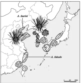 Fig. 7. Distribution of Artemisia fukudo,  A. fauriei and their morphological variation of receptacle in the Korean Peninsula and neighboring countries