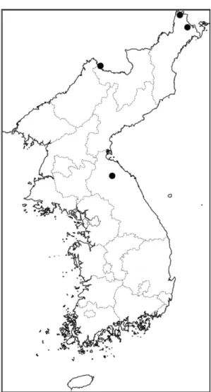 Fig. 3. Photograph of A. integrifolia L. A. Habit; B. Underground structure; C. Middle part of stem; D