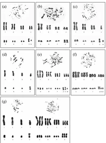 Fig.  1.  Chick  normal  and  abnormal  karyotypes  obtained  from  embryonic  culture;  Normal  female  karyotype  2n=78,  ZW  (a),  Normal  male  karyotype  2n=78,  ZZ  (b),  Abnormal  karyotypes  2n=77,  ZW,-4  (c),  n=39,Z  (d),  3n=117,  ZZW  (e),  3n