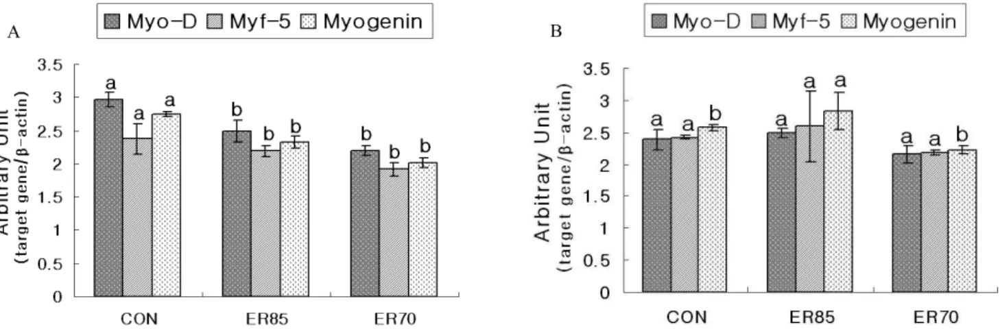 Fig.  2.  The  gene  expressions  of  Myo-D,  Myf-5  and  Myogenin  in  muscle  tissues  at  14  (A)  and  35-d  old  (B)  broiler  chicks  fed  a  control  diet  or  subjected  to  a  feed  restriction  (8  to  14-d  of  age)  and  re-alimentation  (15  t