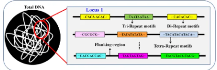 Table 1. Softwares for microstellite mining from nucleotide sequences.