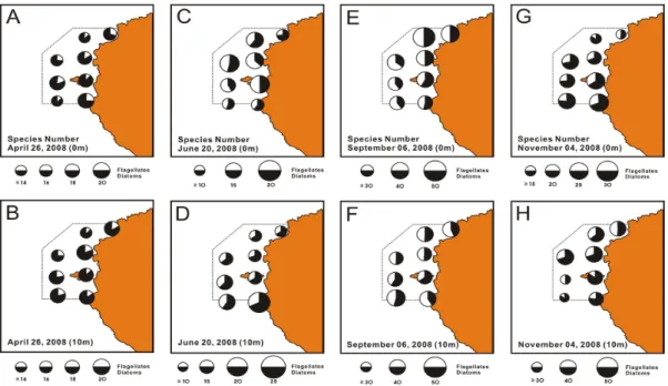 Fig. 3. Spatio-temporal variations of phytoplankton species number at surface and 10m layer in the JMRA