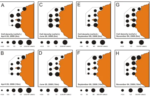 Fig. 5.  Spatio-temporal variations of phytoplankton cell density at surface and 10m layers in the JMRA