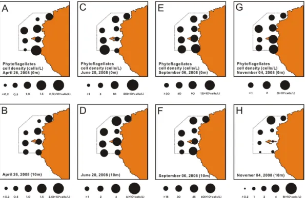 Fig. 6.  Spatio-temporal variations of phytoflagellates cell density at surface and 10m layers in the JMRA