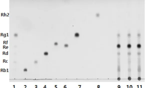 Fig. 5. TLC chromatograms of ginsenopsides. Numbers  from 1 to 8 represent ginsenoside standards  (Rb1, Rc, Rd, Re, and Rg1), Rb1, Rc, Rd, Rf,  Re, Rg1, and Rh2, respectively