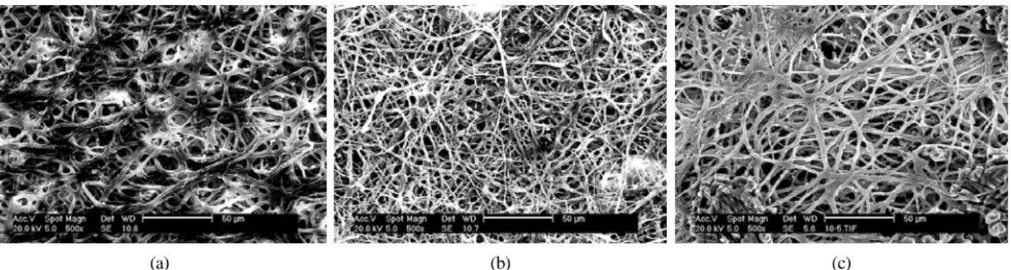 Fig. 4. Photographs of an electron microscope on egg shells of nonfeed vs. feed withdraw treatments (a; Control, b; feed withdraw, c; 