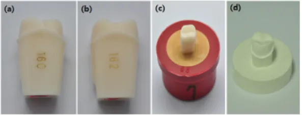Fig.  1. specimen fabrication process (a)model of  chamfer margin (b)model of knife margin  (c)master model (d)urethane cast.