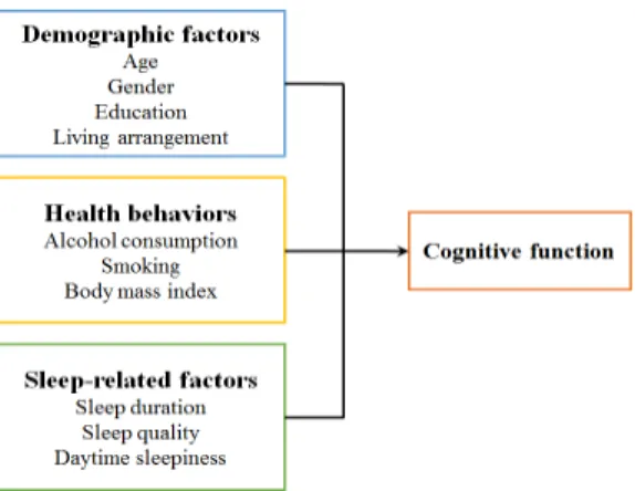 Fig. 1. Conceptual framework 