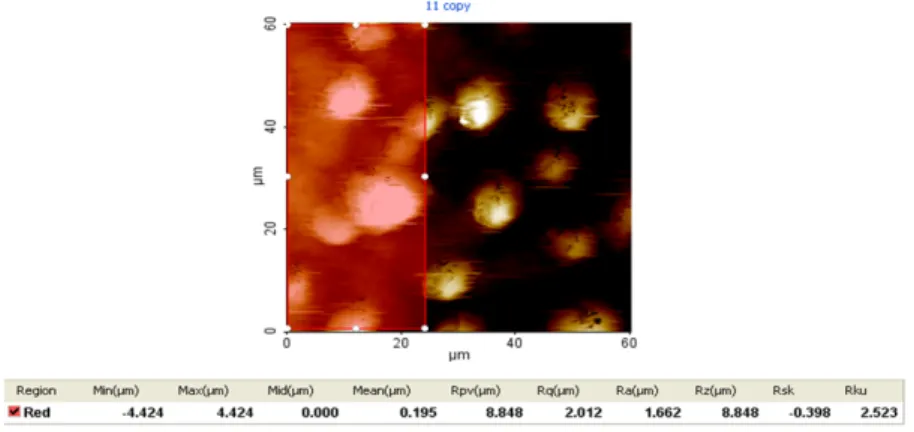 Fig. 11. Surface roughness of lotus leaf surface 