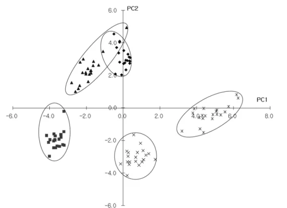 Fig. 3. Phenogram of Oldenlandia L. in Korea by using UPGMA clustering method.