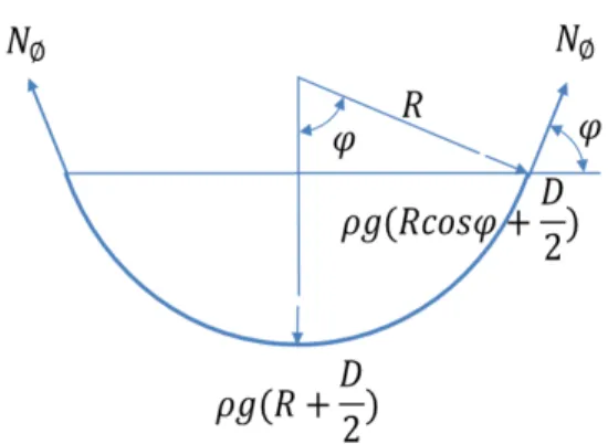 Fig. 8. Meridional force about 50% cargo weight in the  lower hemisphere 회전축  방향의  압력  성분은            이며  미소면적은          이므로  50%  액체  화 물  중량에  의한  수직  하방향  합력    는  식(21)과  같다