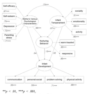Fig. 1. The Infant Development of the impact of final  model 