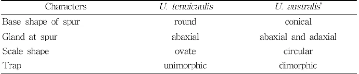 Table 1. Comparison of major characters between Utricularia tenuicaulis and U. australis.