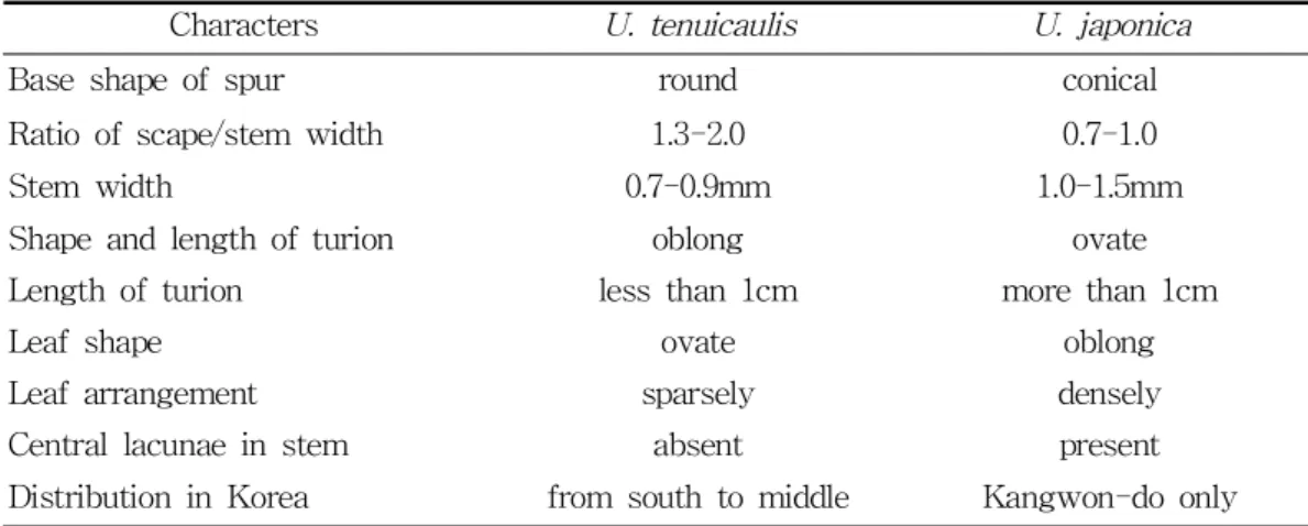 Table 2. Comparison of diagnostic characters between U. tenuicaulis and U. japonica.