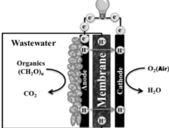 Fig. 1. Schematic view - Electricity Production in a MFC