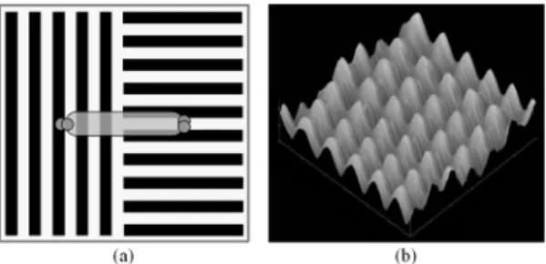 Fig. 1. Reference patterns for surface encoding         (a) two orthogonal linear patterns                  (b)  two-dimensionally  periodical  pattern