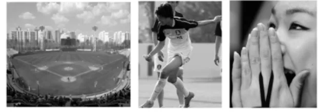 Fig. 4. Three  types  of  image.  Far  view  image,  middle  view  image,  and  closed  range  image.