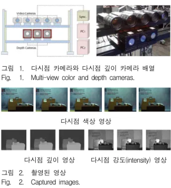 Fig. 2. Captured images.