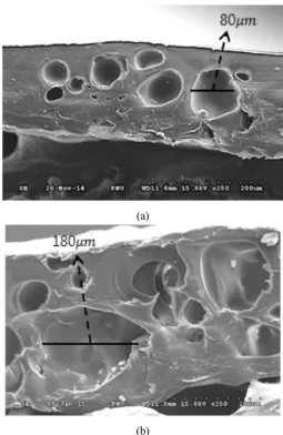 Fig. 6. SEM image of polymer sheet investigated by  UV laser pulse (a) foaming process, (b) LAMO  process Fig