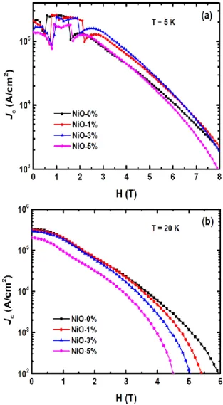 Fig.  3.  The  SEM  morphologies  of  (a)  pure  and  different  amounts of nano-NiO (b) 1 wt